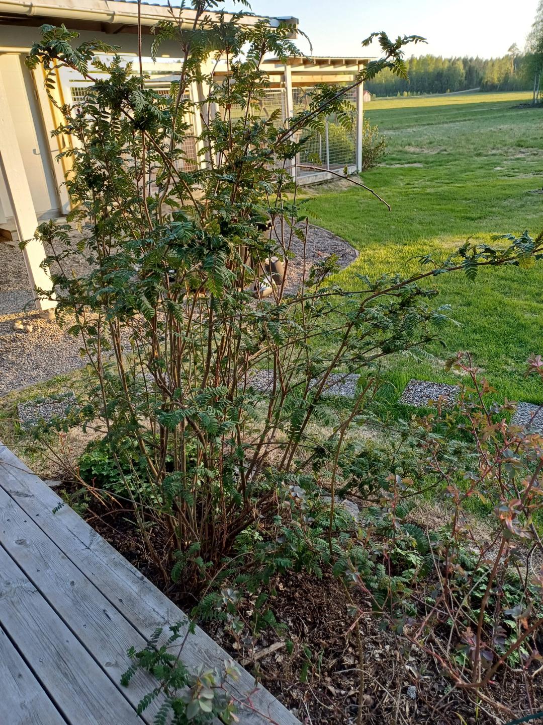 Pålandet