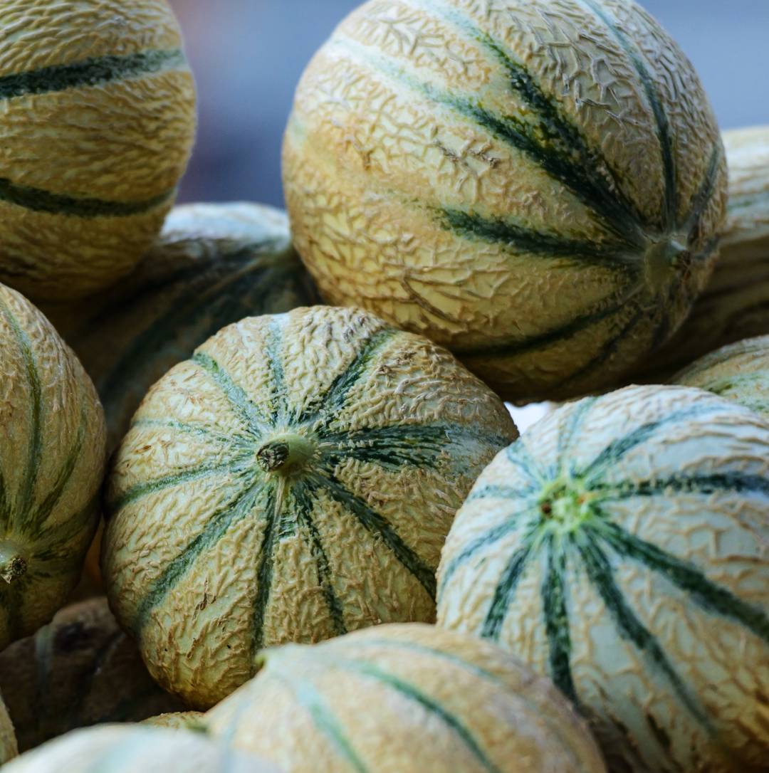 Cantaloupemelon Cantalupo di Charentais