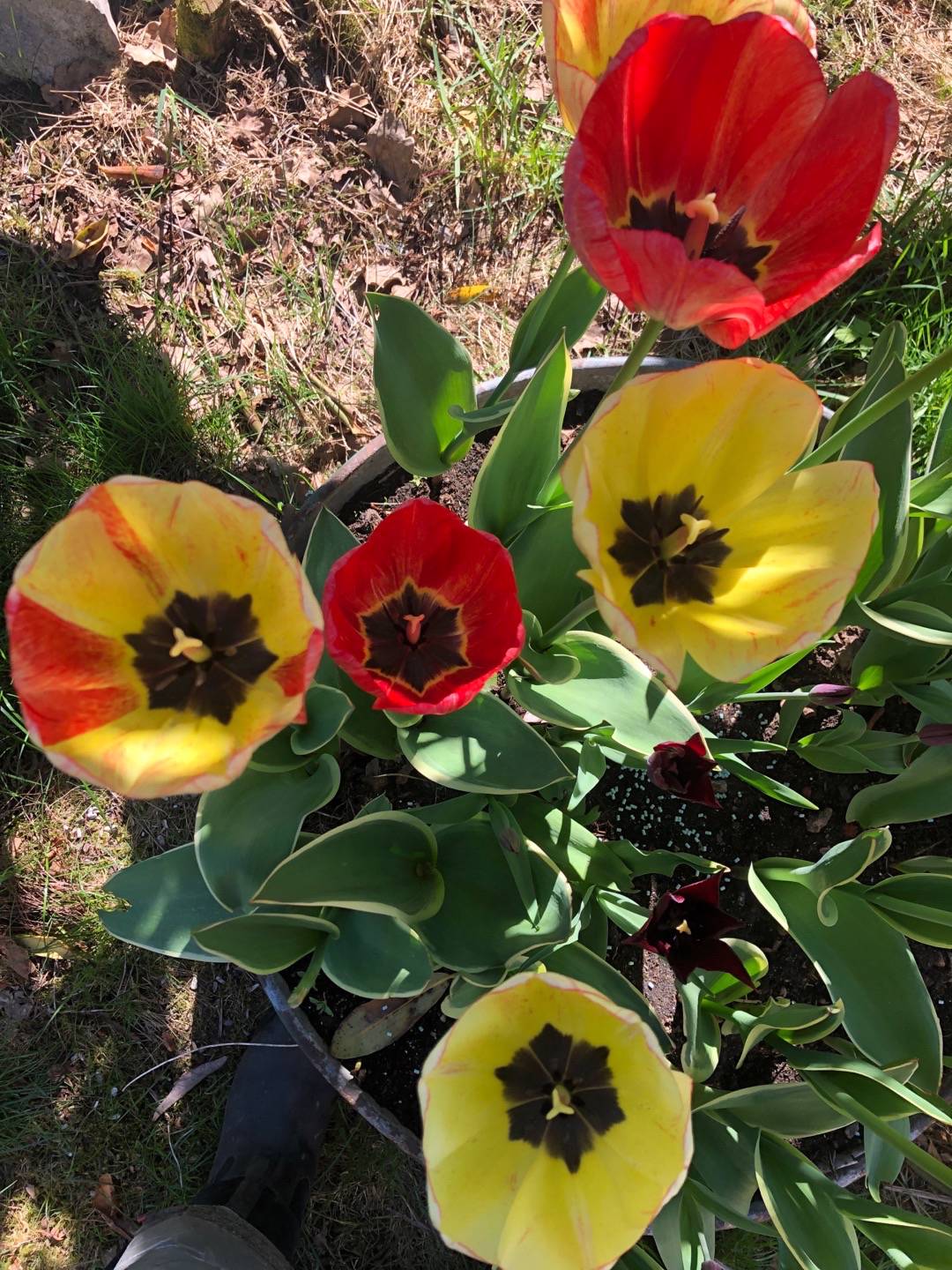 Pensionat Graneliden