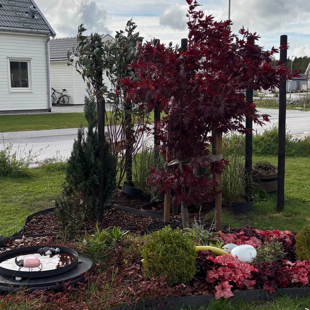 Adelöws trädgård