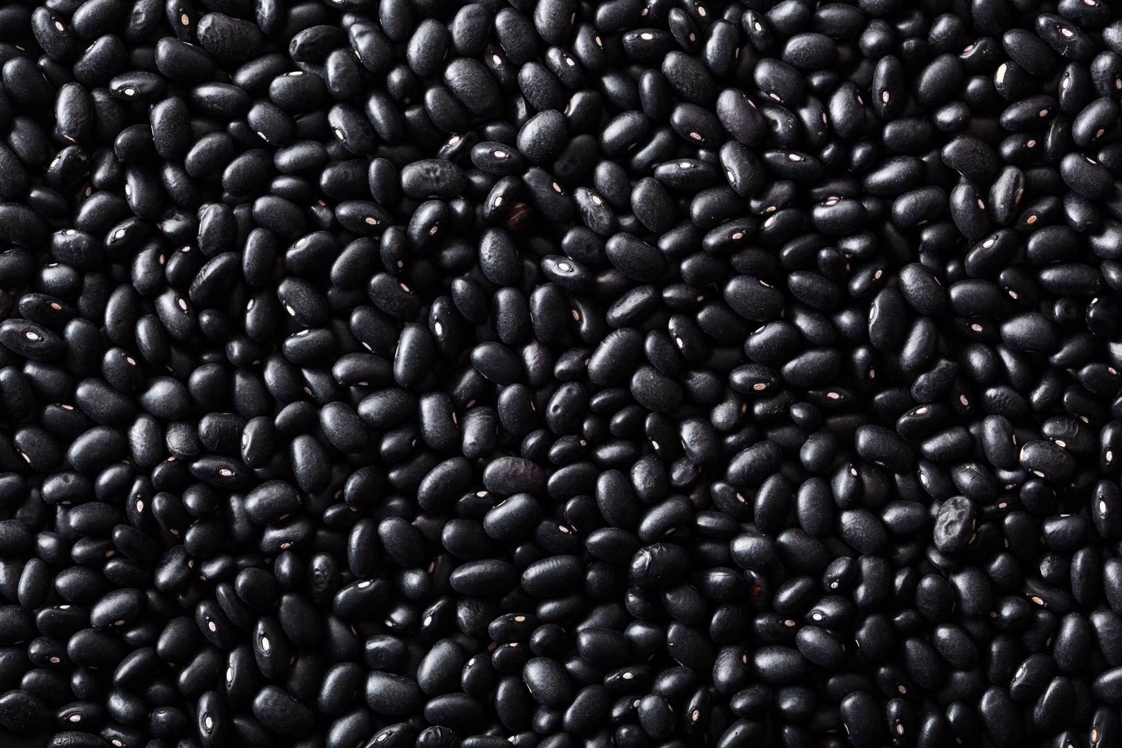 Svart böna Black Turtle
