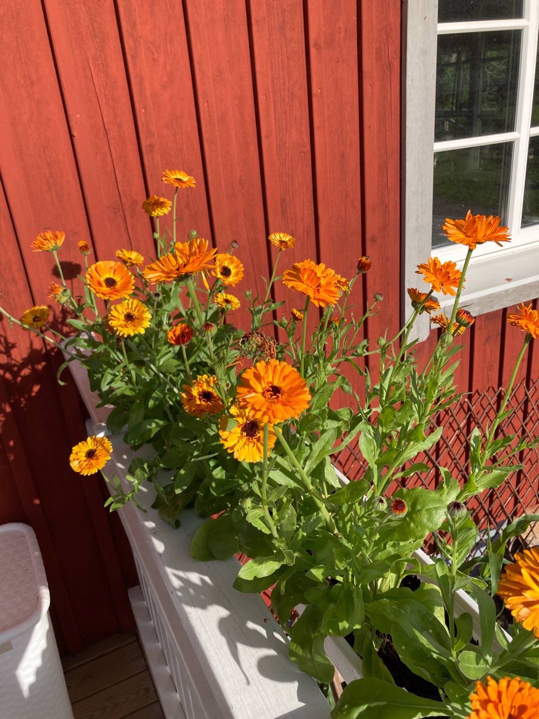 Rörsnäs Gård