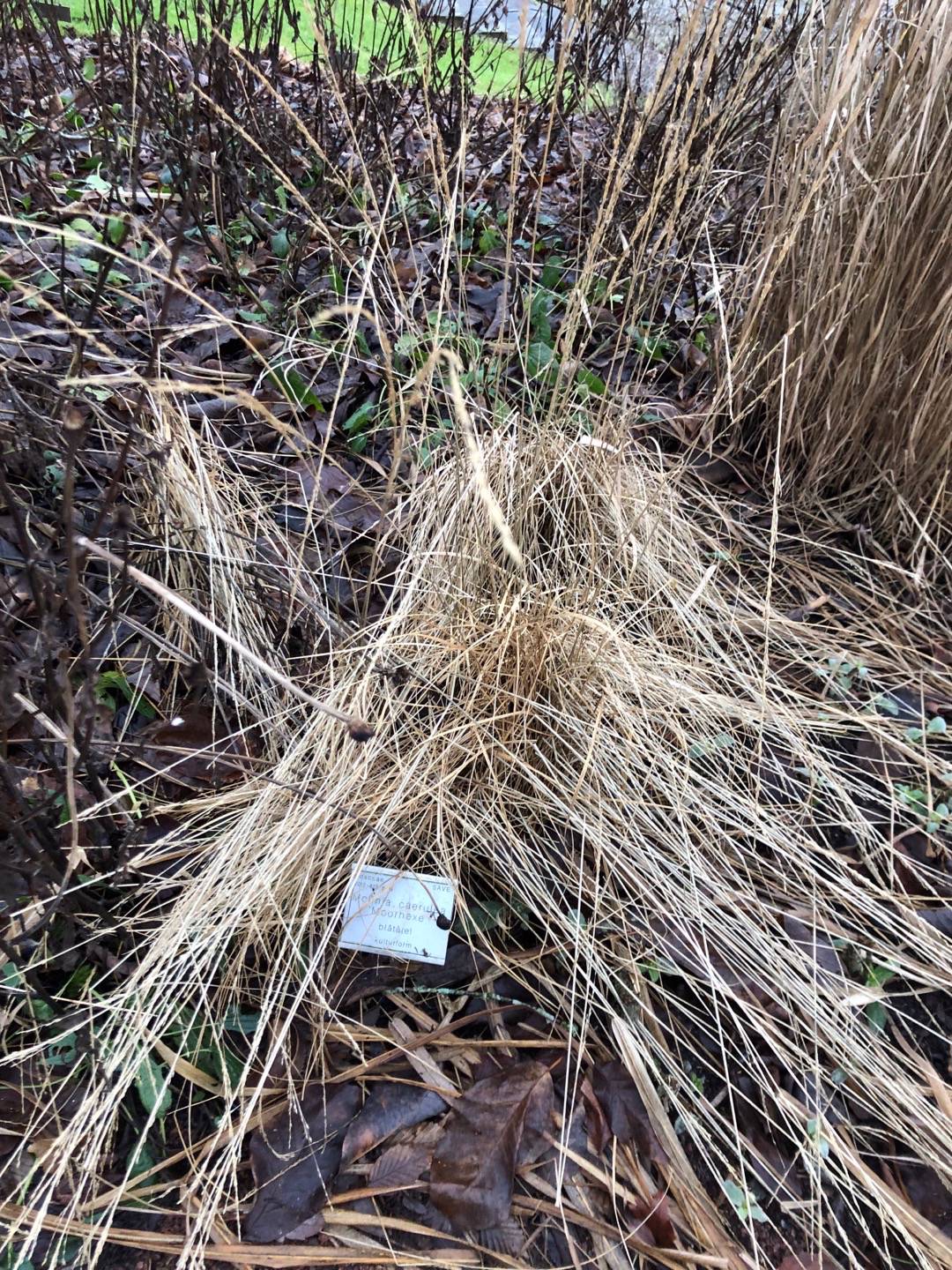 Pensionat Graneliden