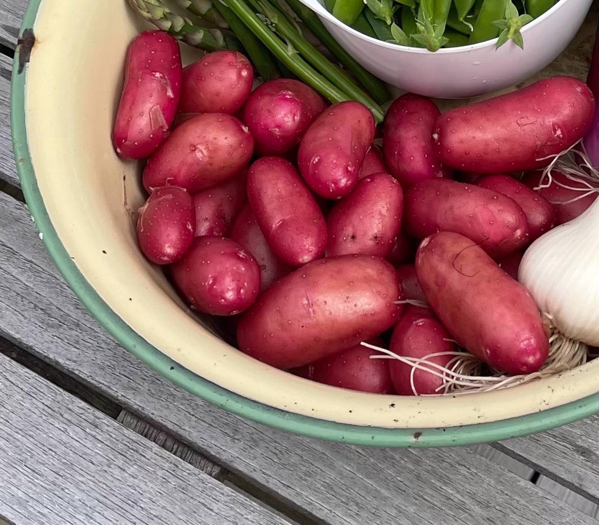 Potatis Chérie