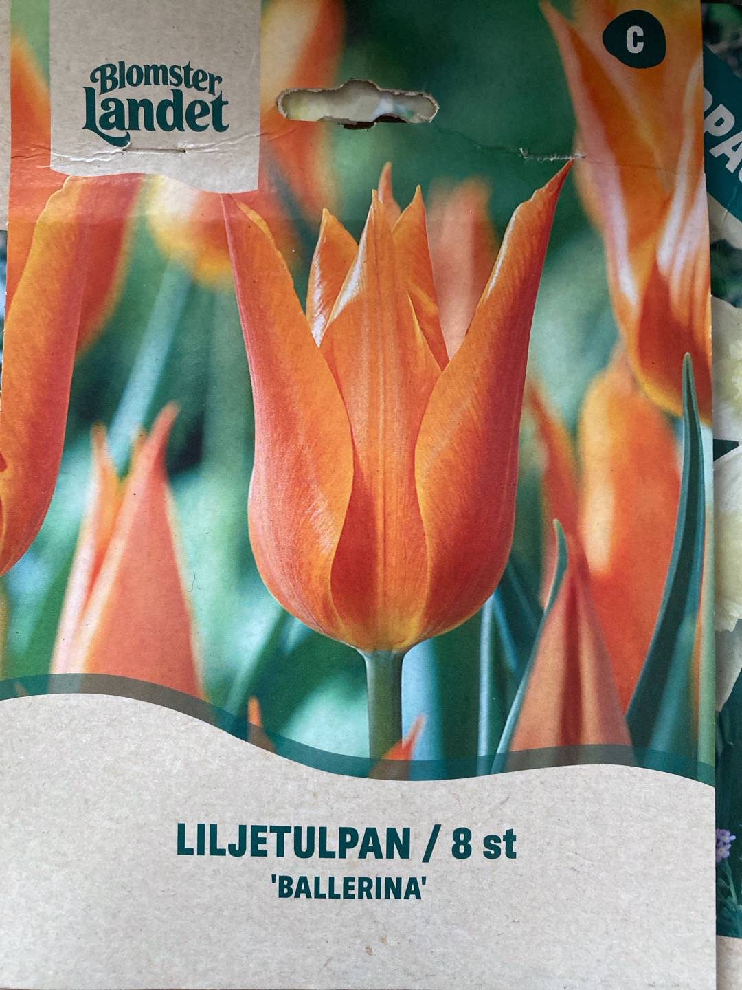 Lundgrensgrönatäppa