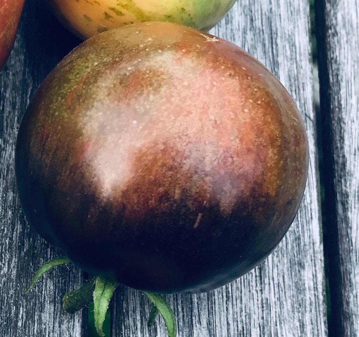 Tomat Cosmic Eclipse