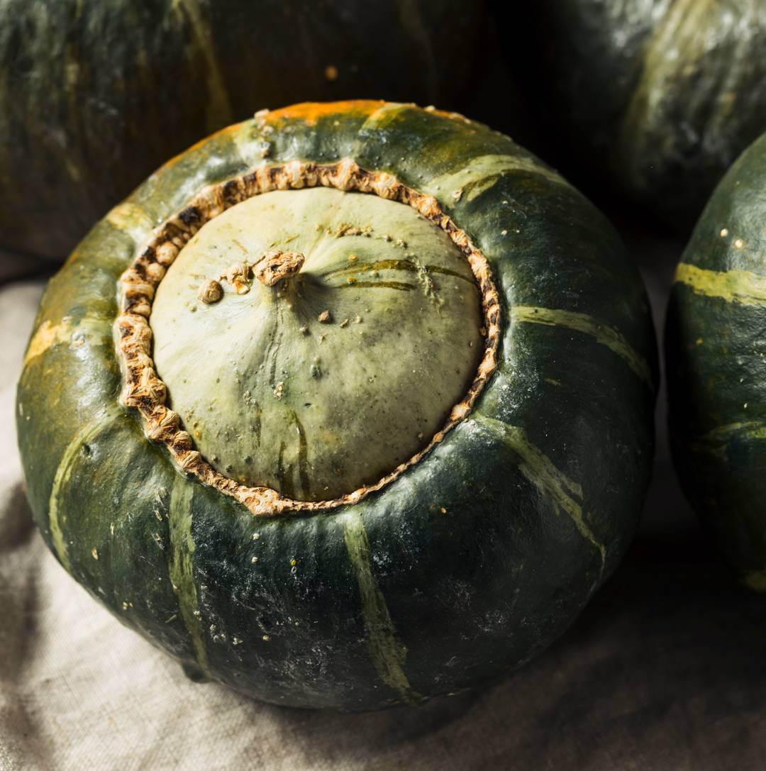 Vintersquash Buttercup