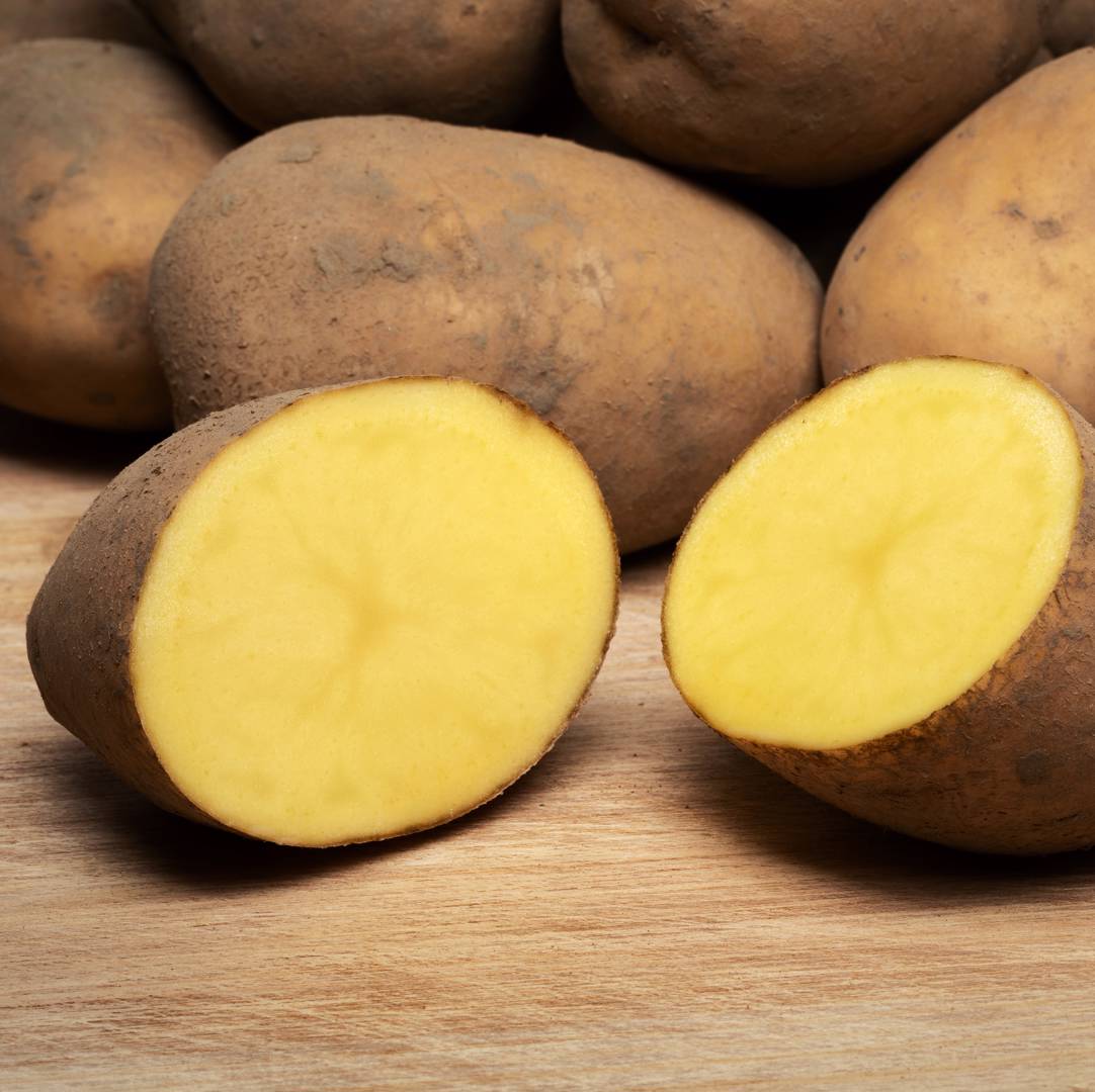 Potatis Bintje