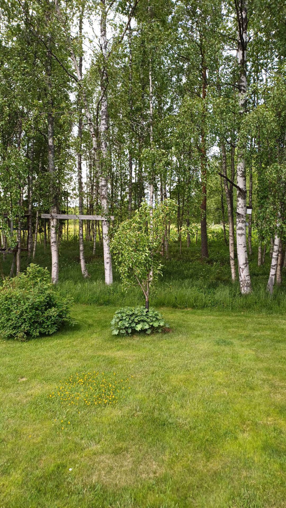 Pålandet