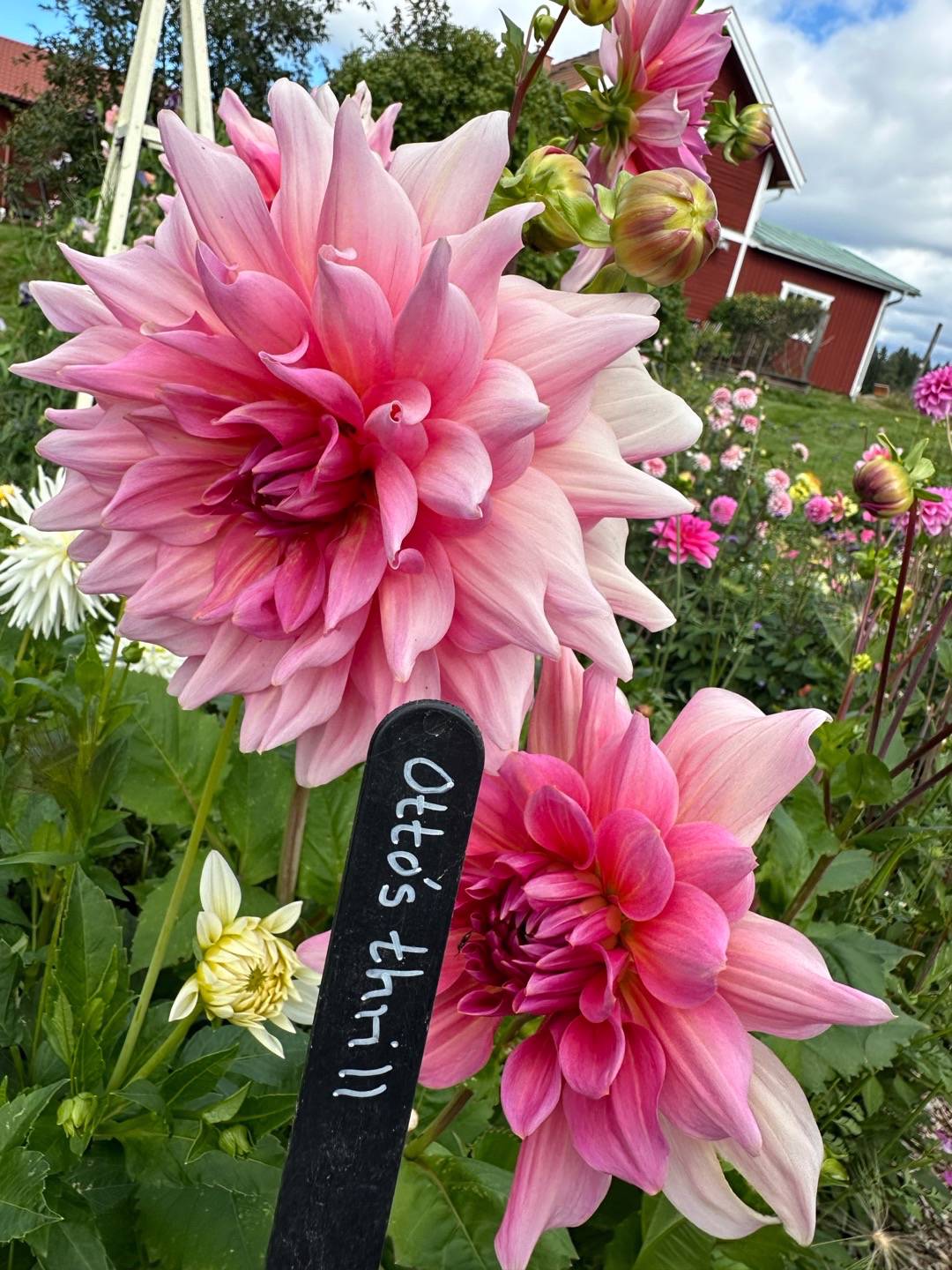 Nääsgården