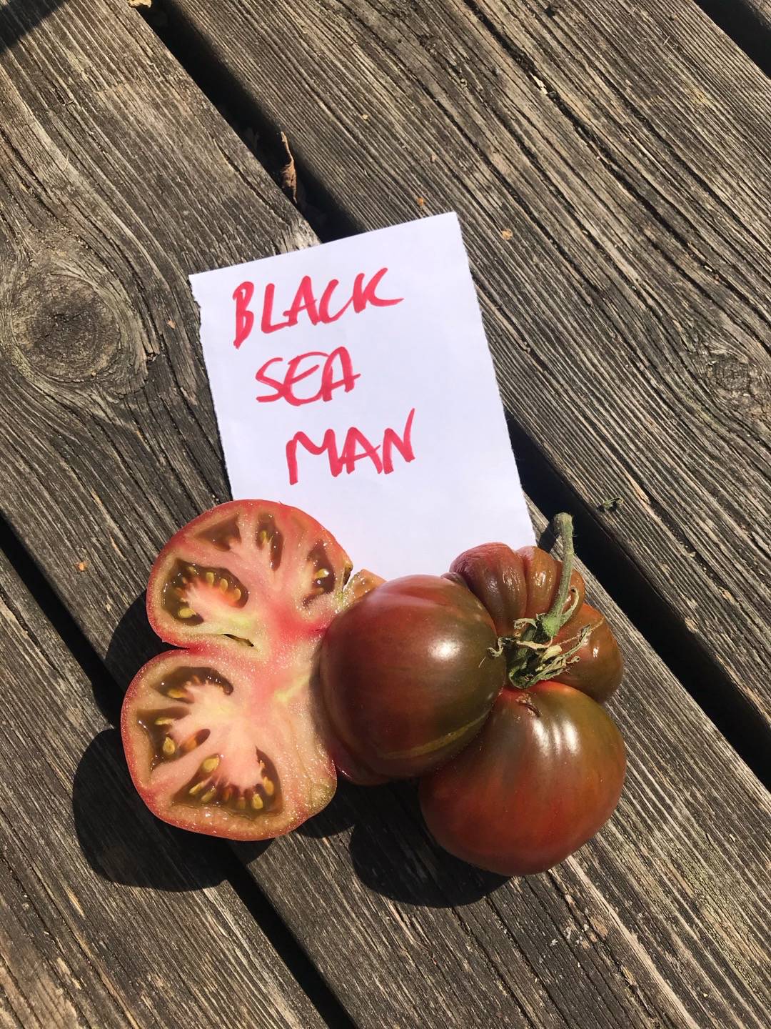 Tomat Black Sea Man