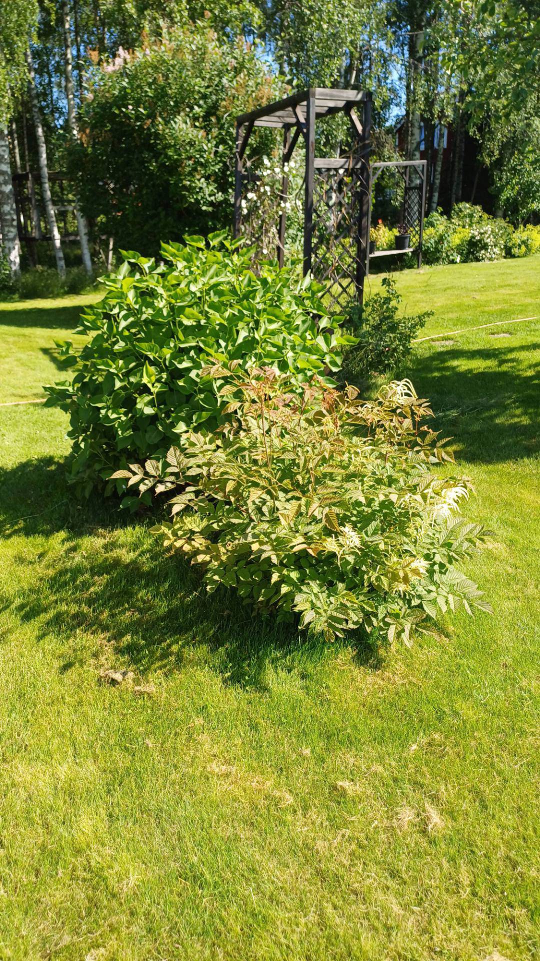 Pålandet