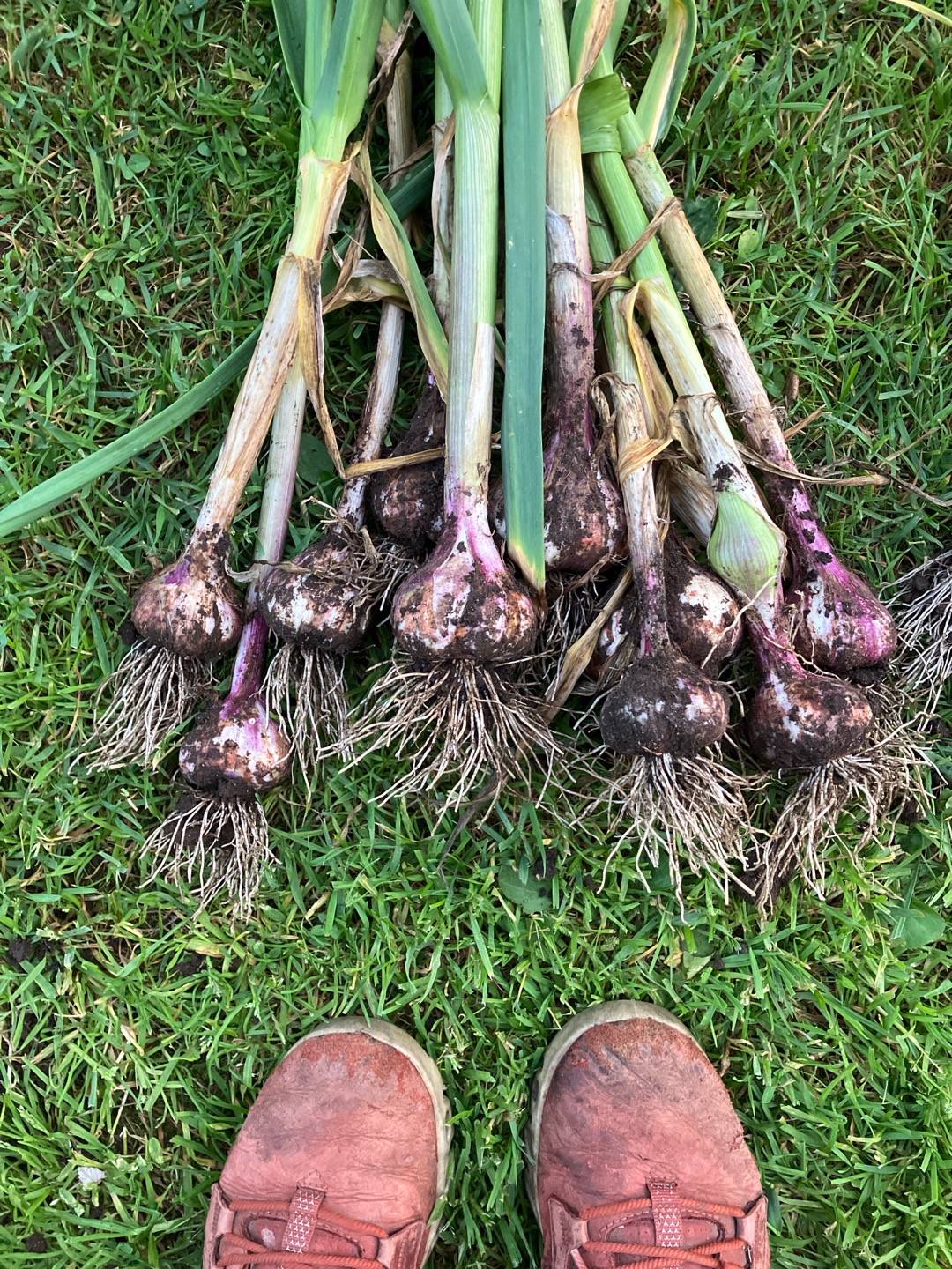 Pensionat Graneliden