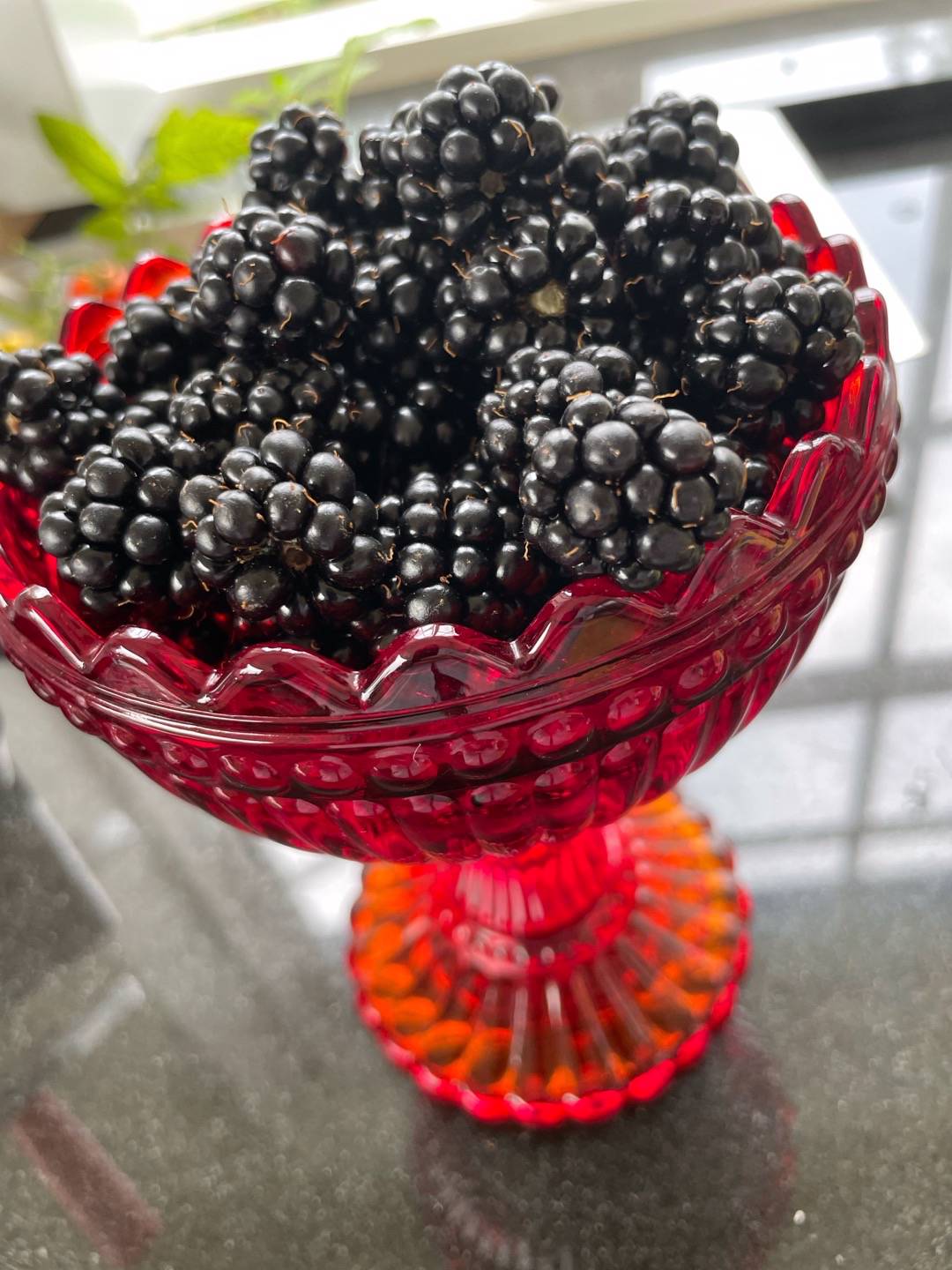 Petra på Blomstervägen