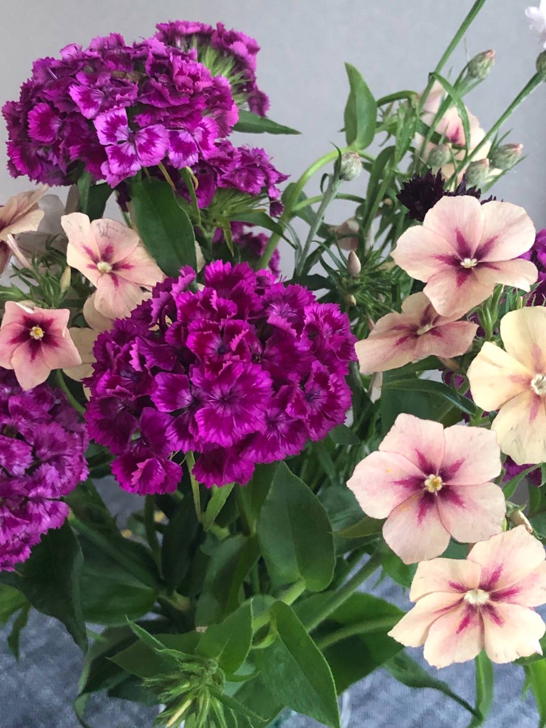 Rensättra trädgård