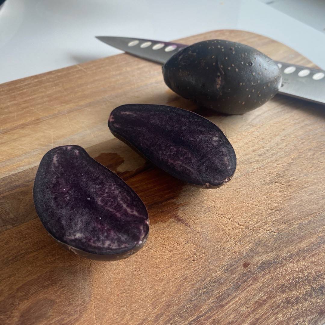 Potatis Violet Queen