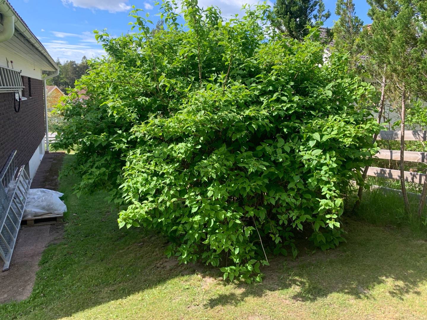 gardensagarden