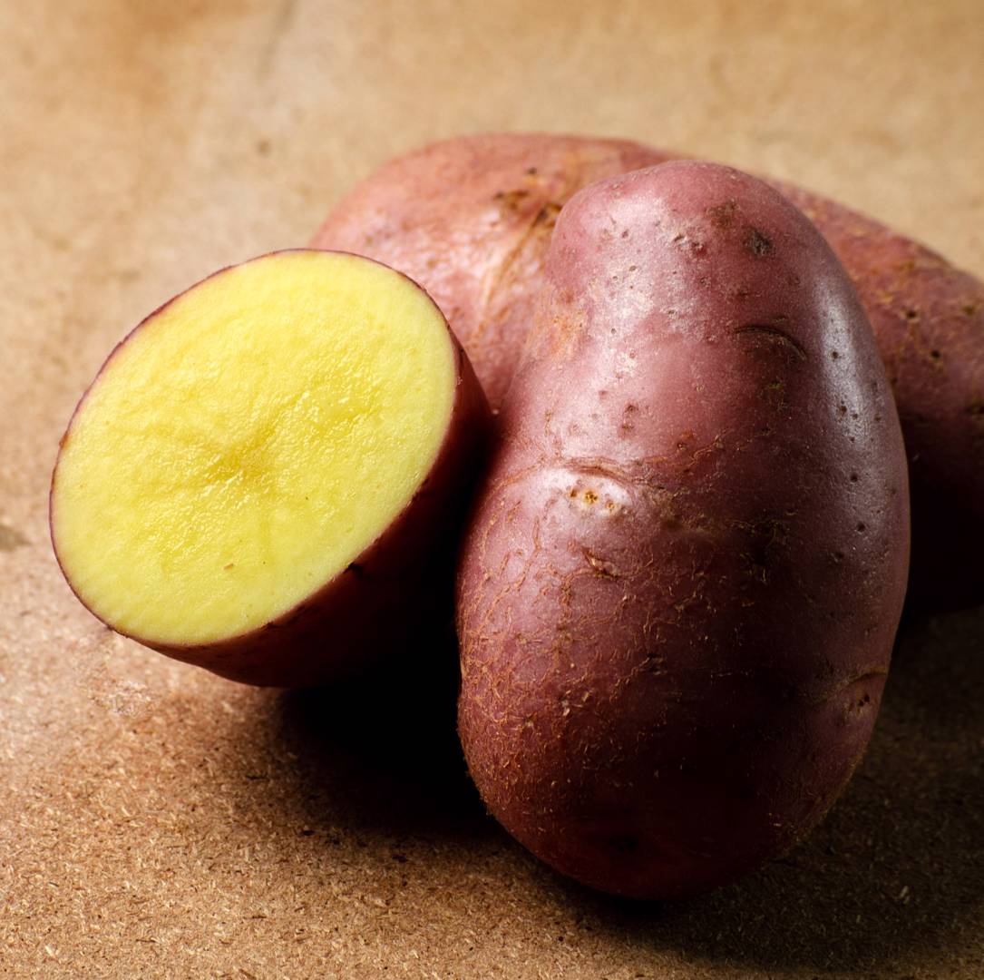 Potatis Asterix