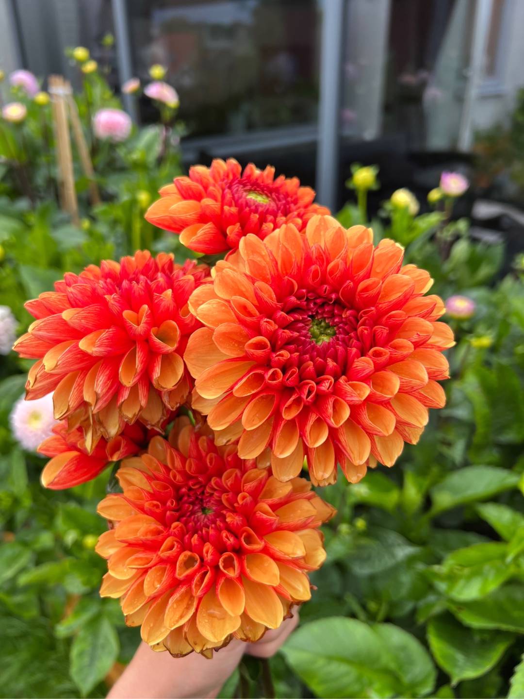 TheFlowersOfBuch