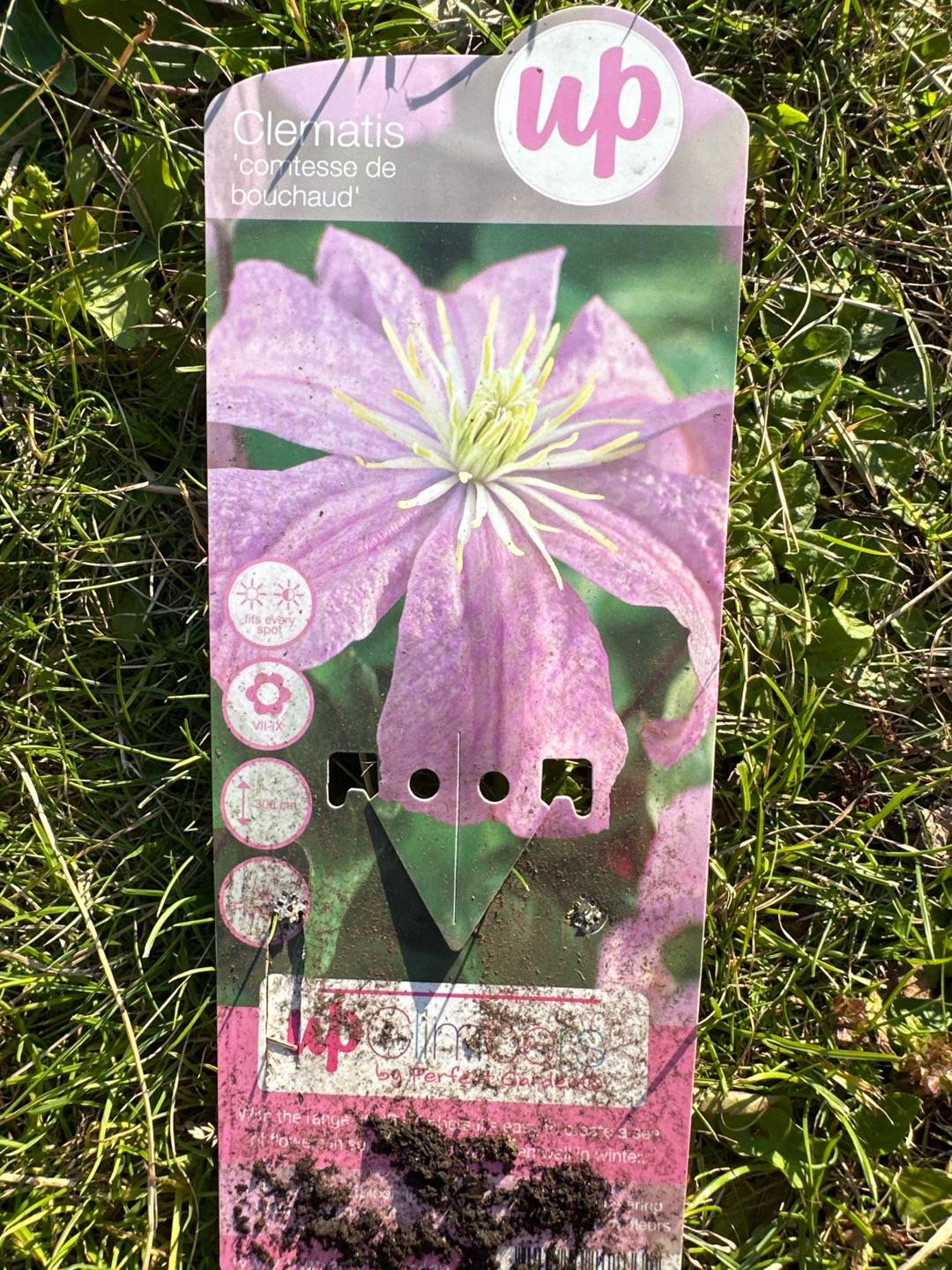 Bjärnsunds trädgård