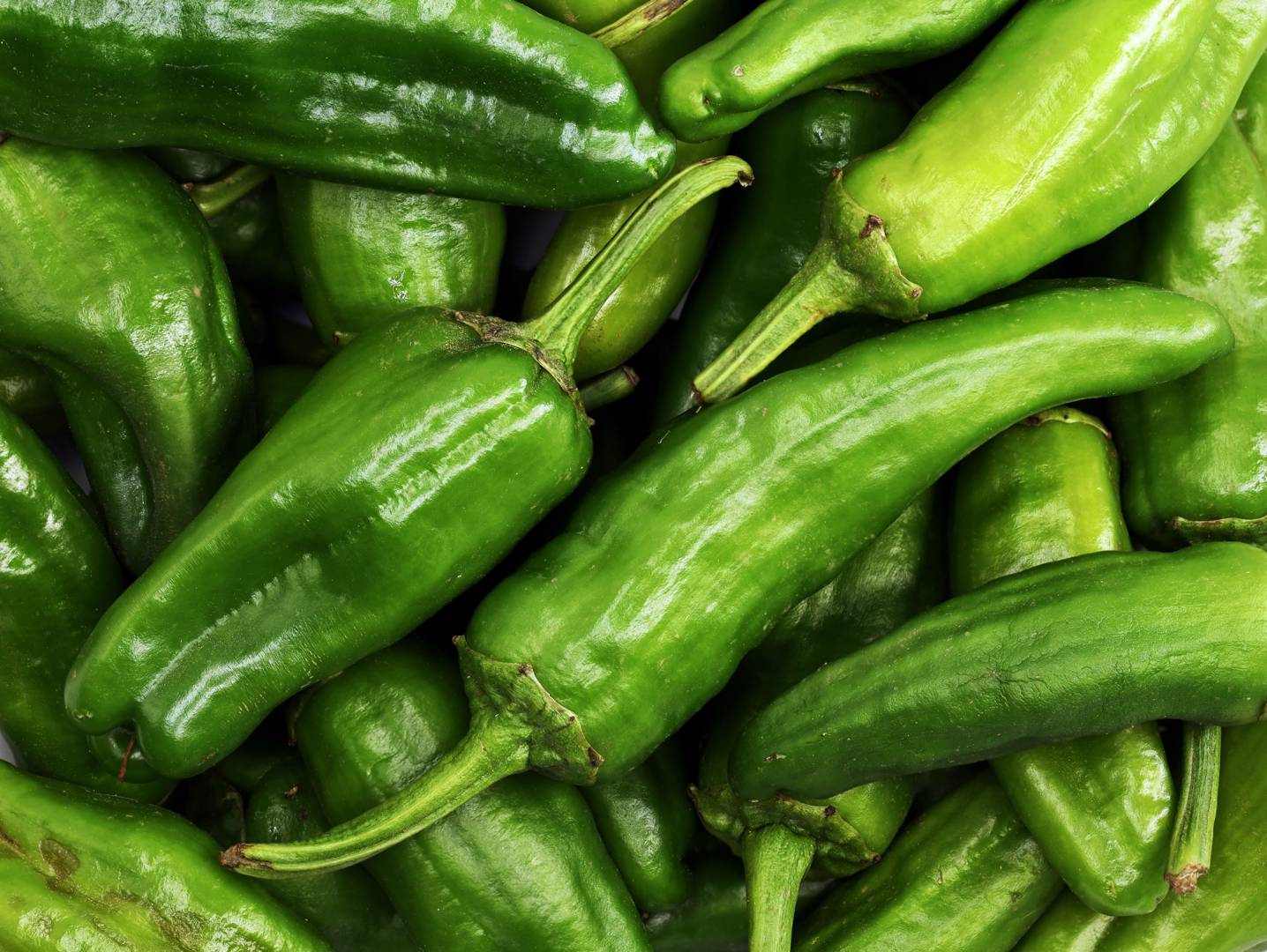 Chilipeppar Padron