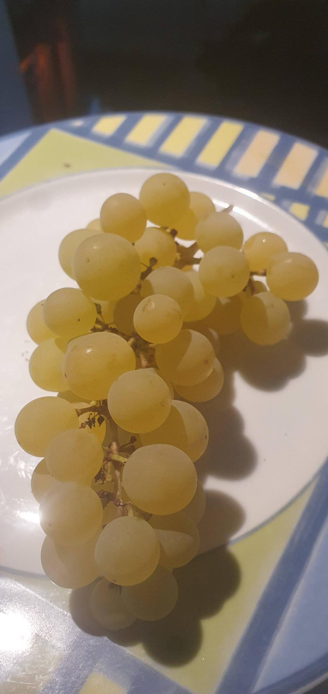 Vin Interlaken Seedless