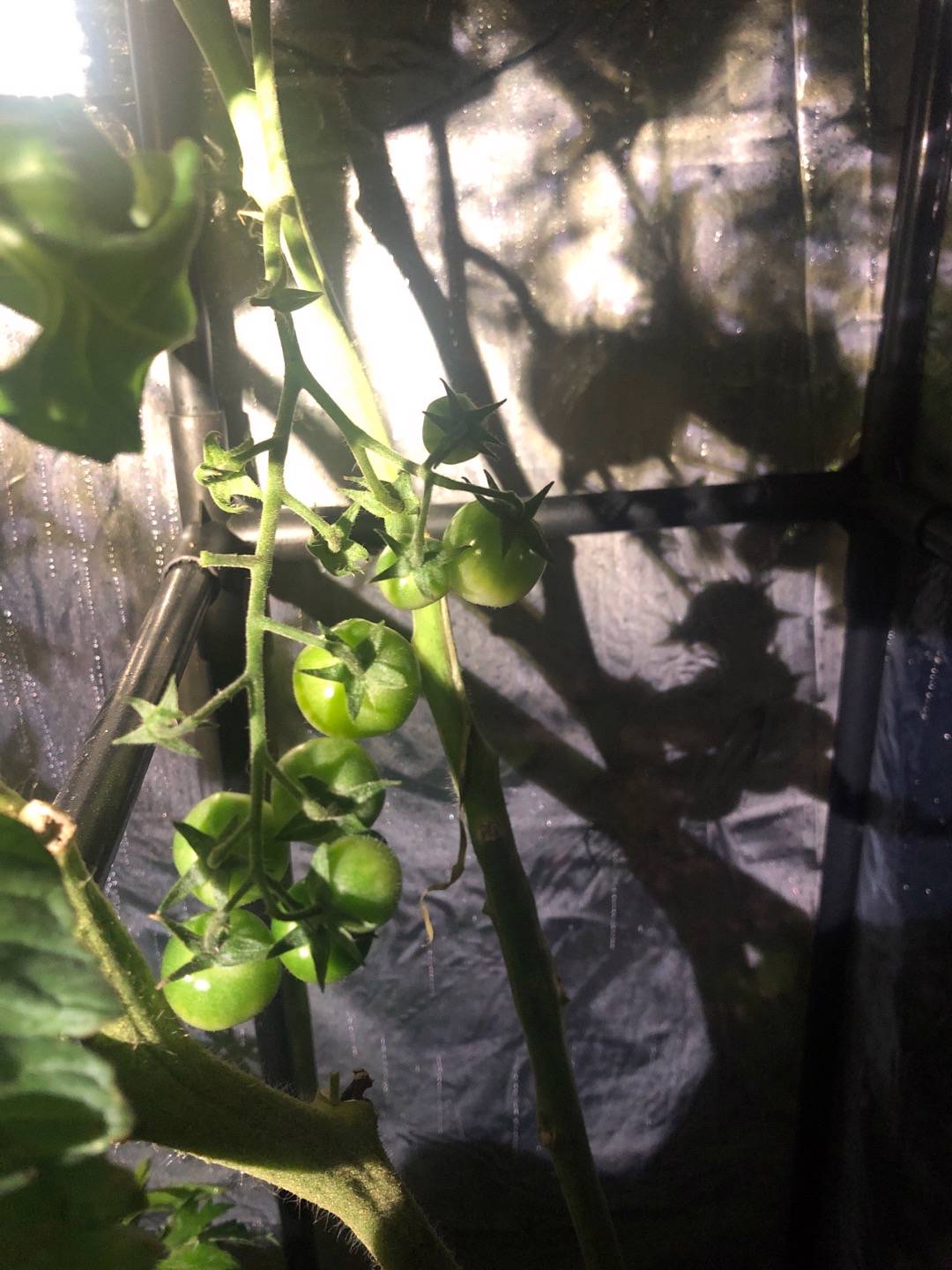 Pensionat Graneliden