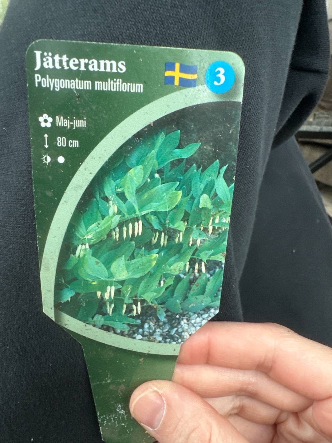 Kroppefjällan