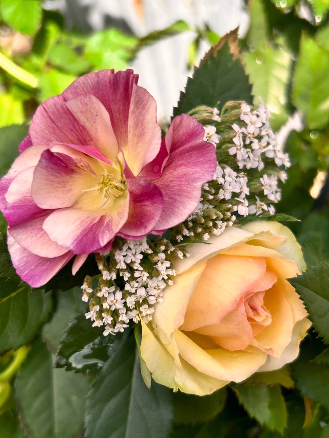 Sömntuta Thai Silk Appleblossom