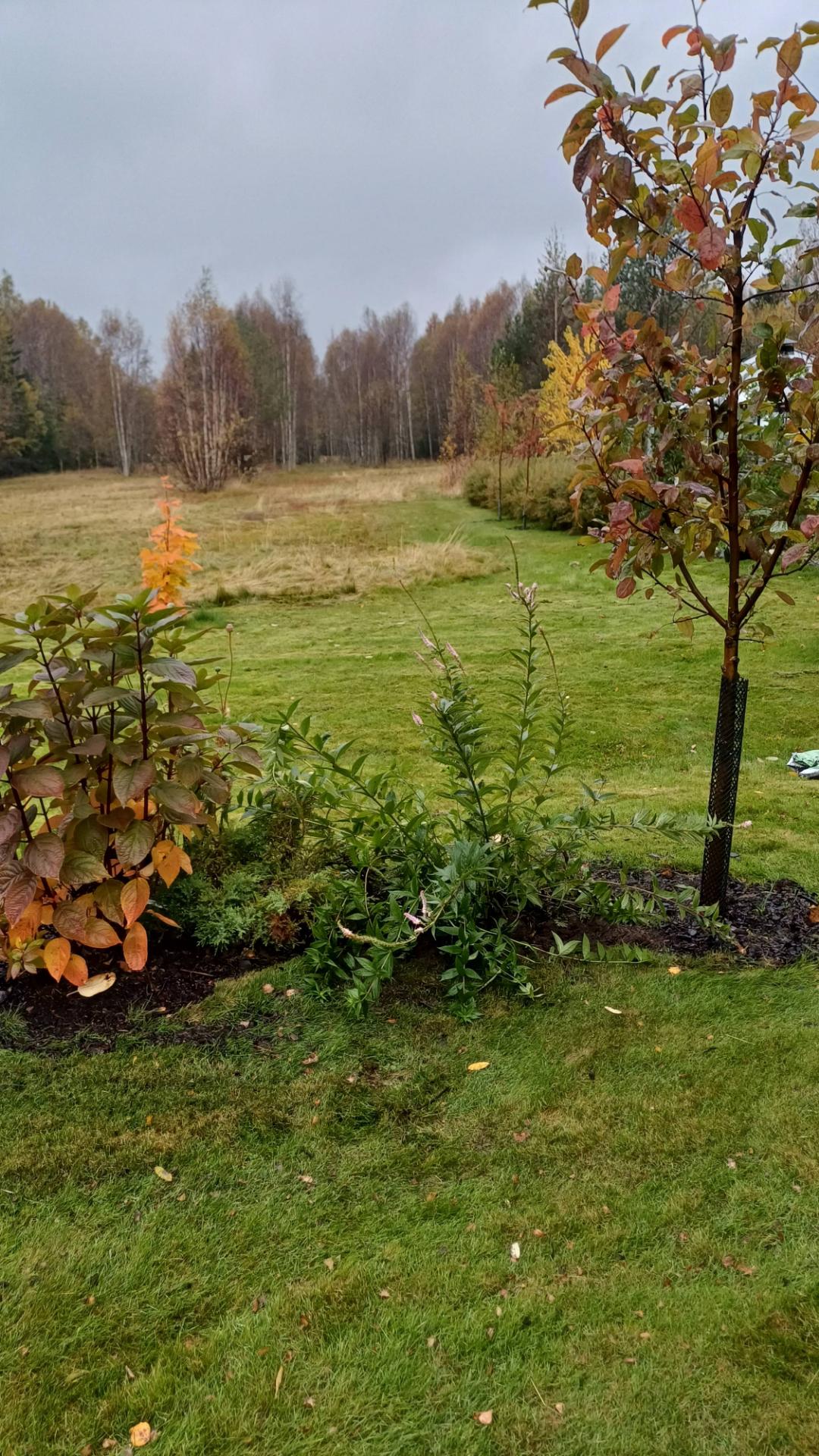 Pålandet