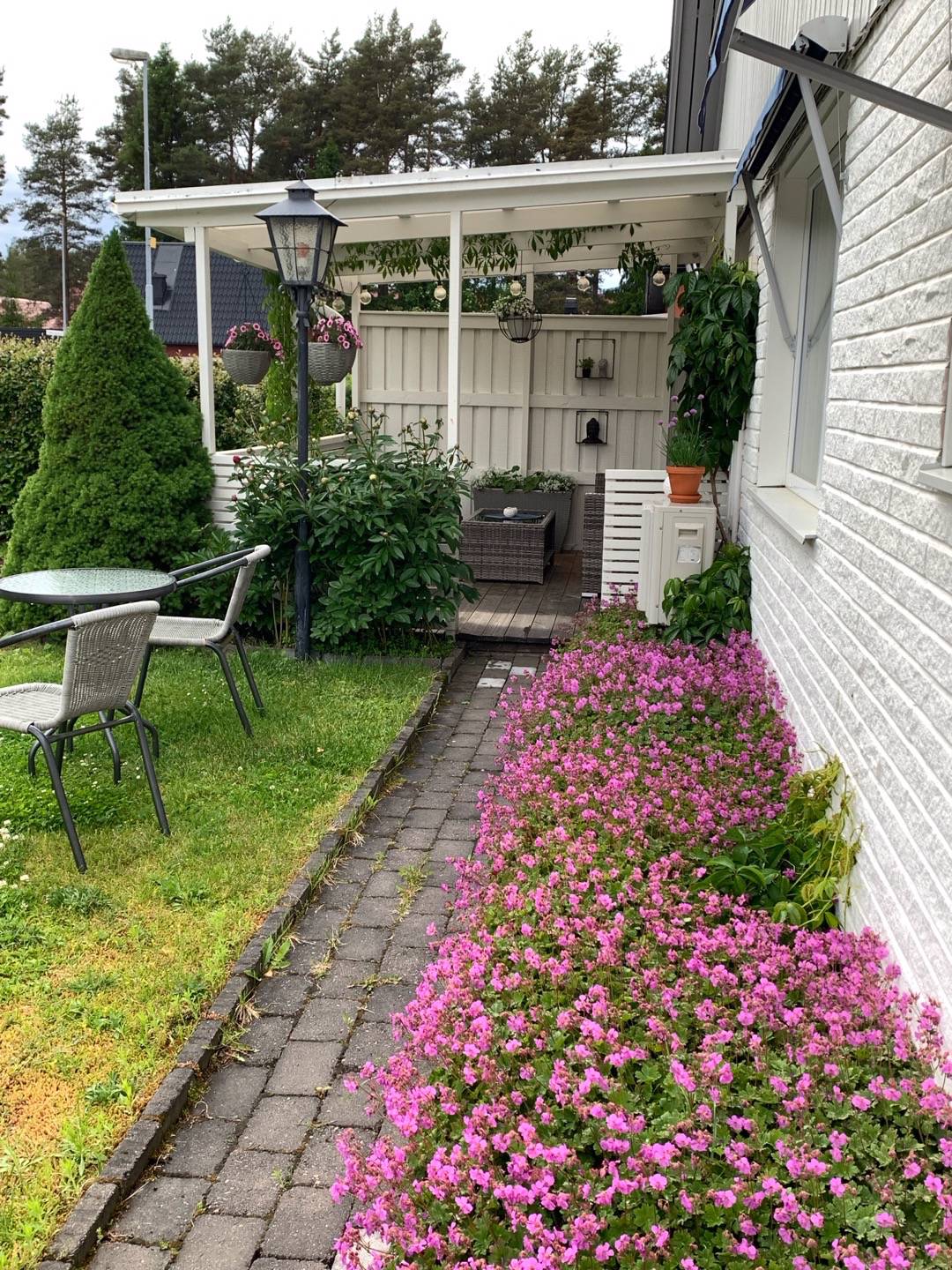 Ankan i rabatten 🌸