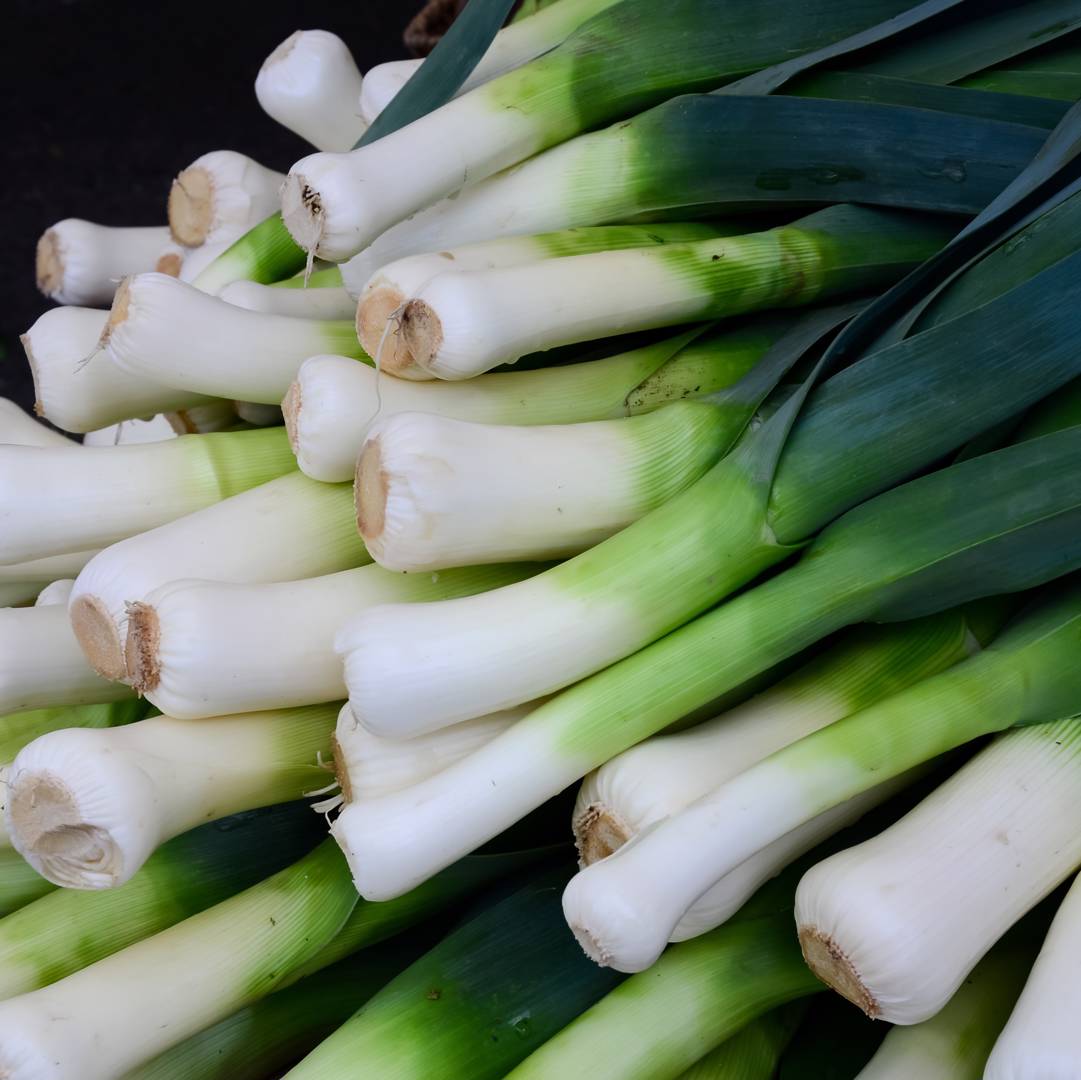 Purjolök American Flag