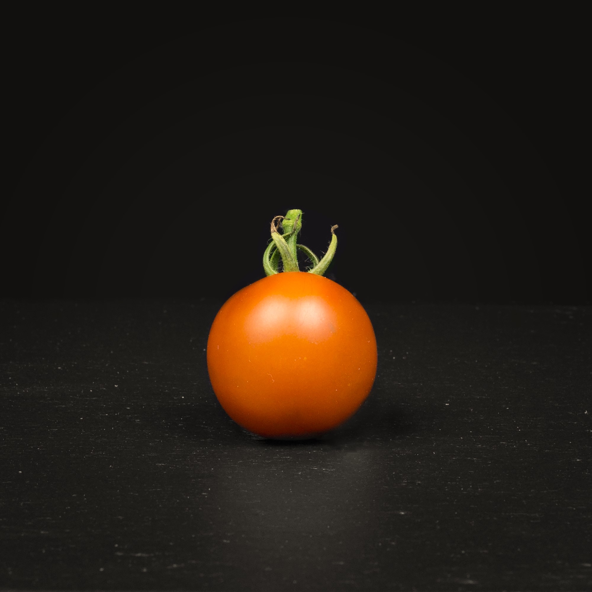 Tomat Auriga