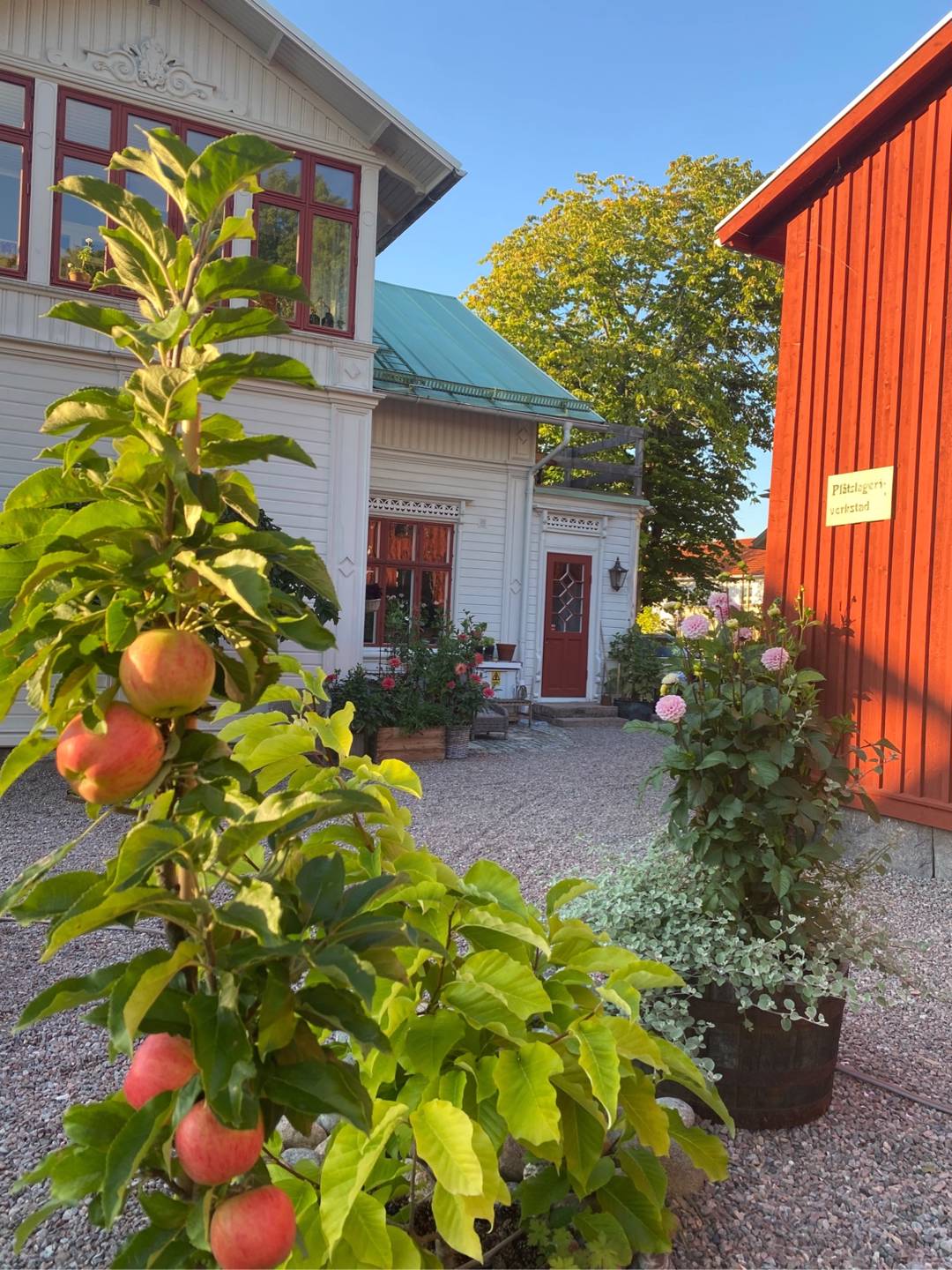 Pelaräpple Polka