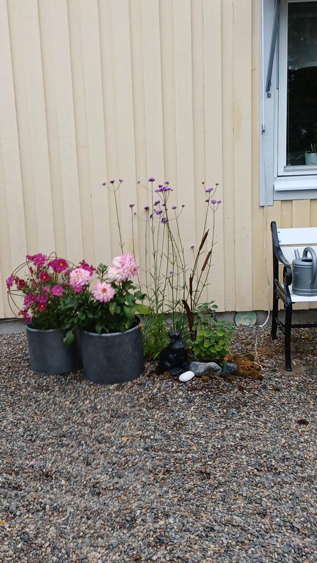 Pålandet