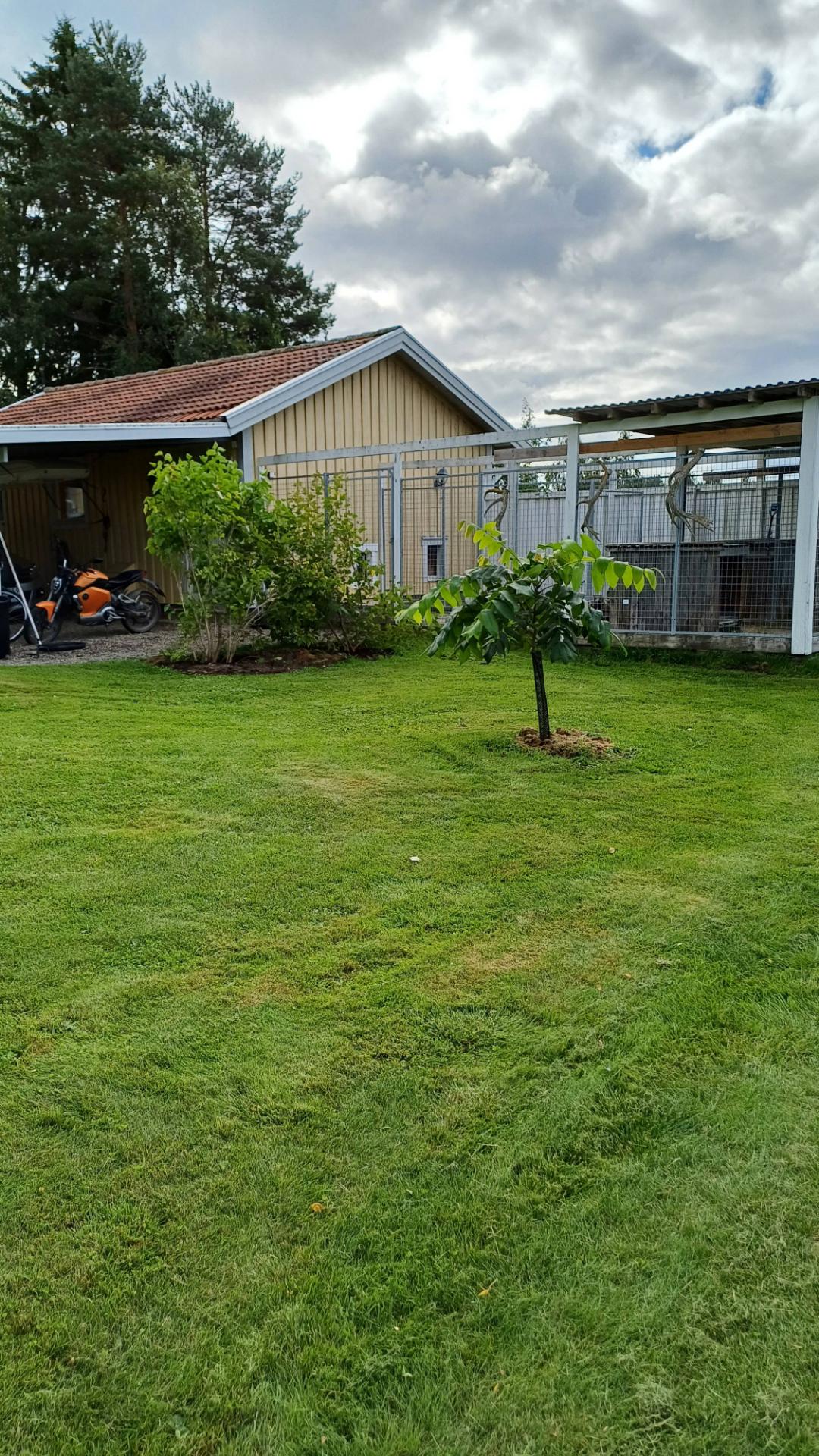 Pålandet