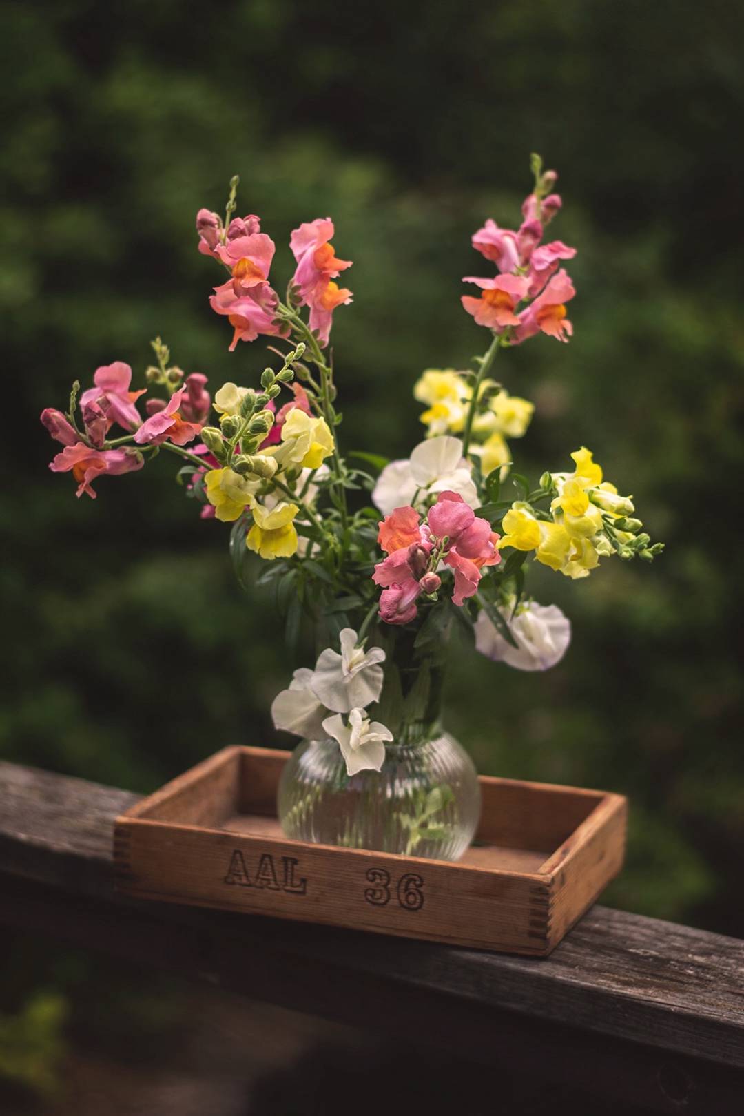 Där knoppar brister