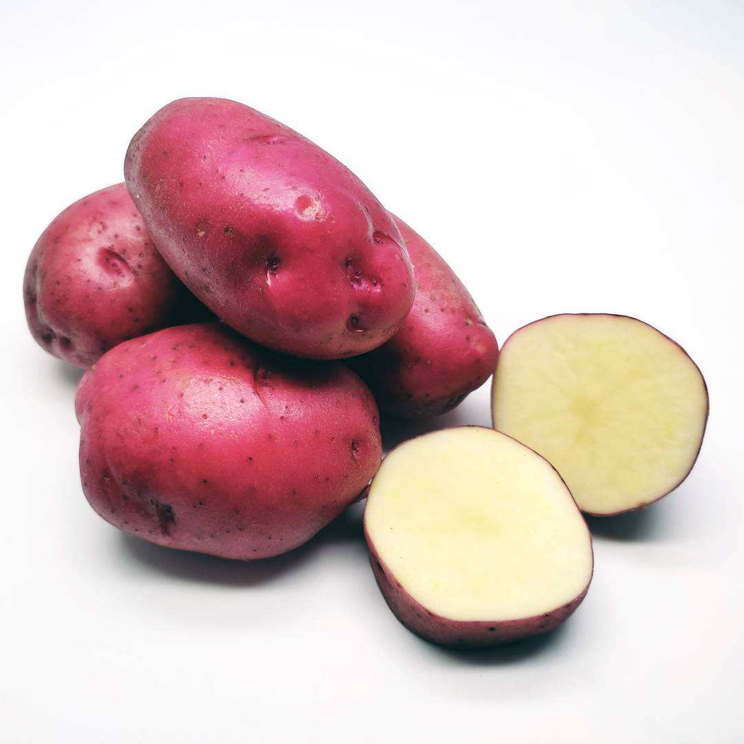 Potatis Laura
