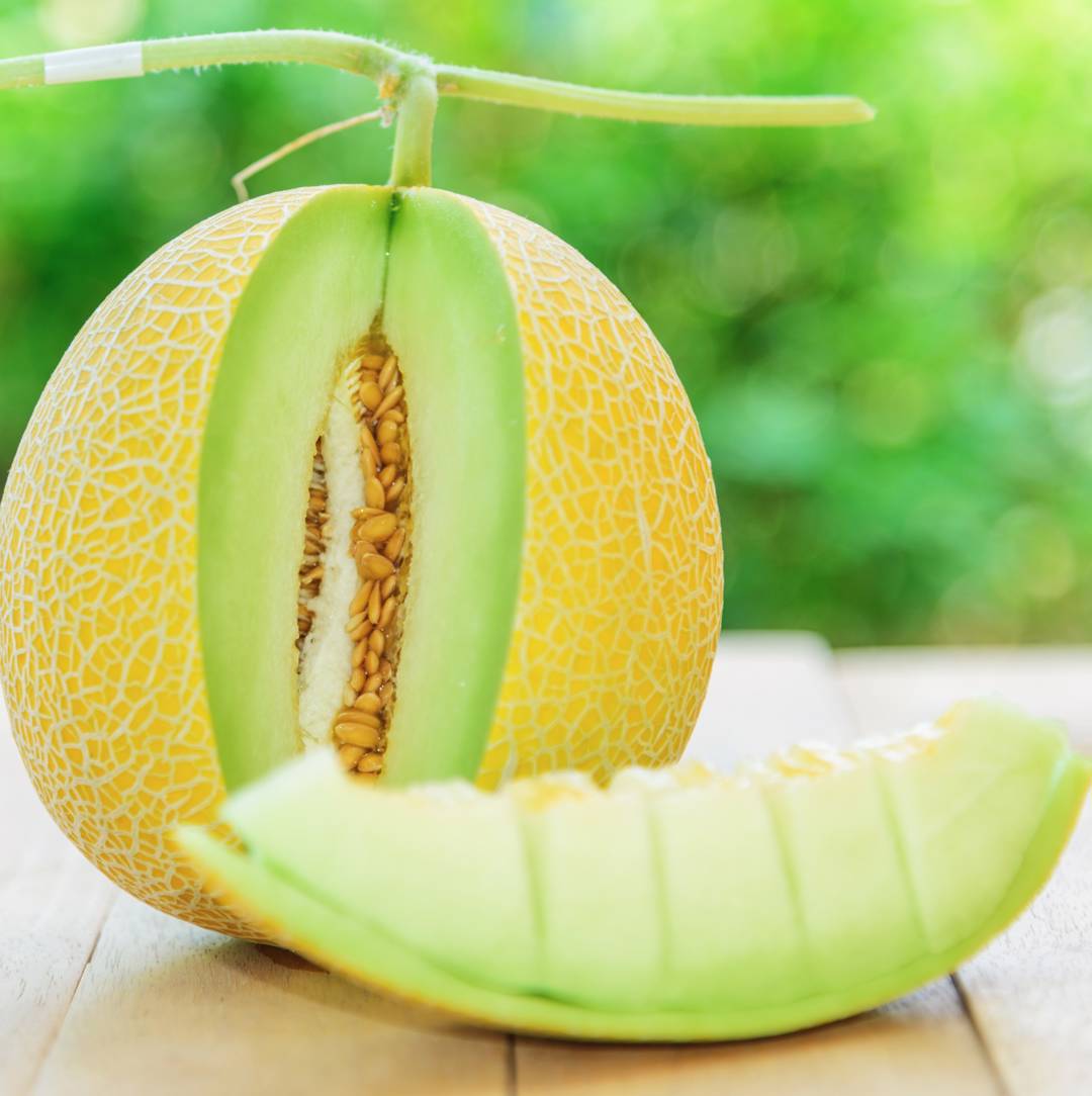 Nätmelon Galia