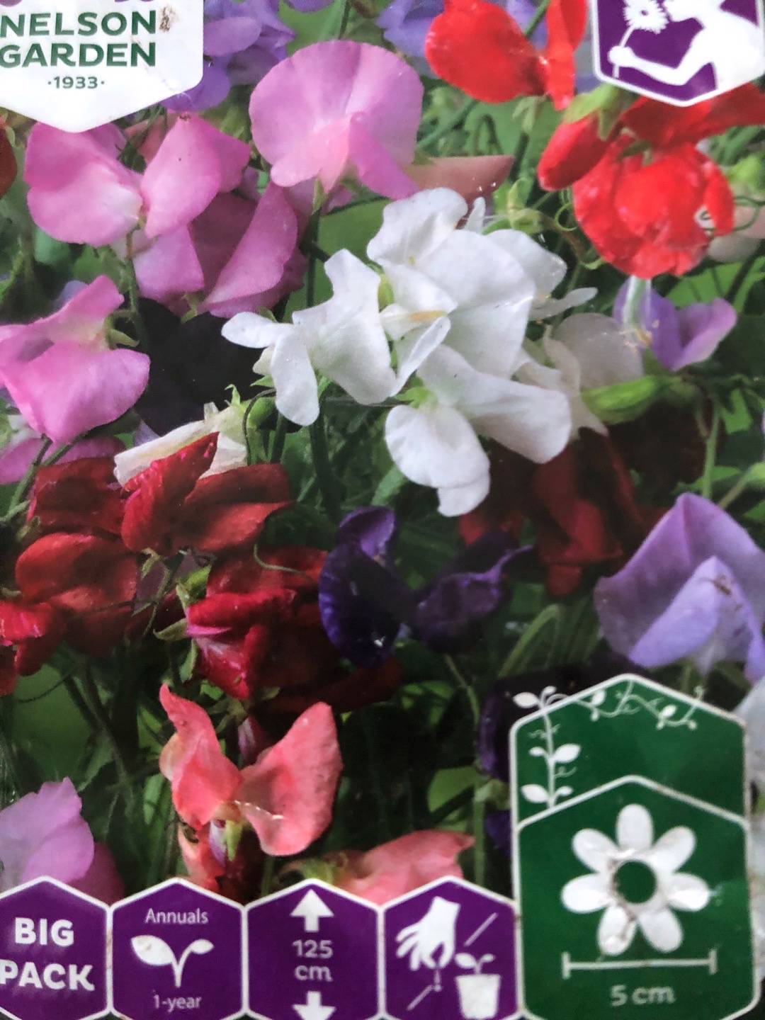 Sarah i Södersätra